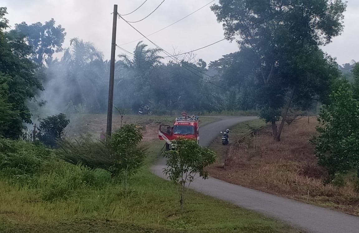  Nyaris Saja Kebakaran Lahan Bakar Laboratorium DLH Seluma