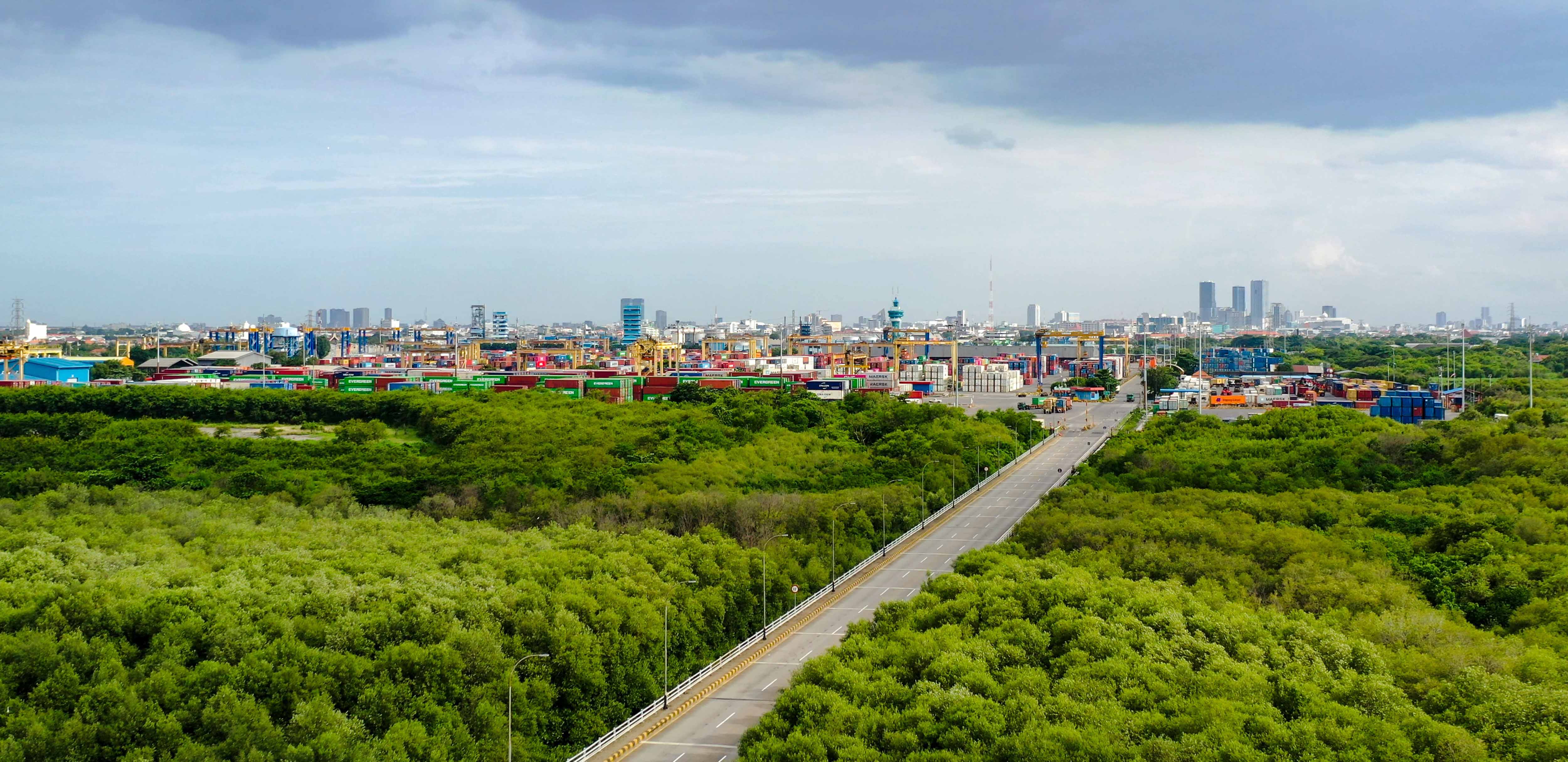 PT Terminal Petikemas Surabaya Perluas Ruang Terbuka Hijau, Perkuat Ekosistem Pelabuhan 