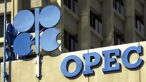   OPEC Merevisi Permintaan Minyak Dunia  2024 dan 2025, Alami Penurunan