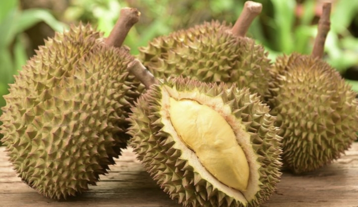 Buah Durian Khas Seluma Kelezatan Dengan Daging Kuning! 