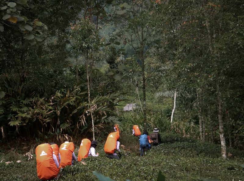 Pernyataan Resmi BPN, Warga Tidak Boleh Garap Lahan Cagar Alam