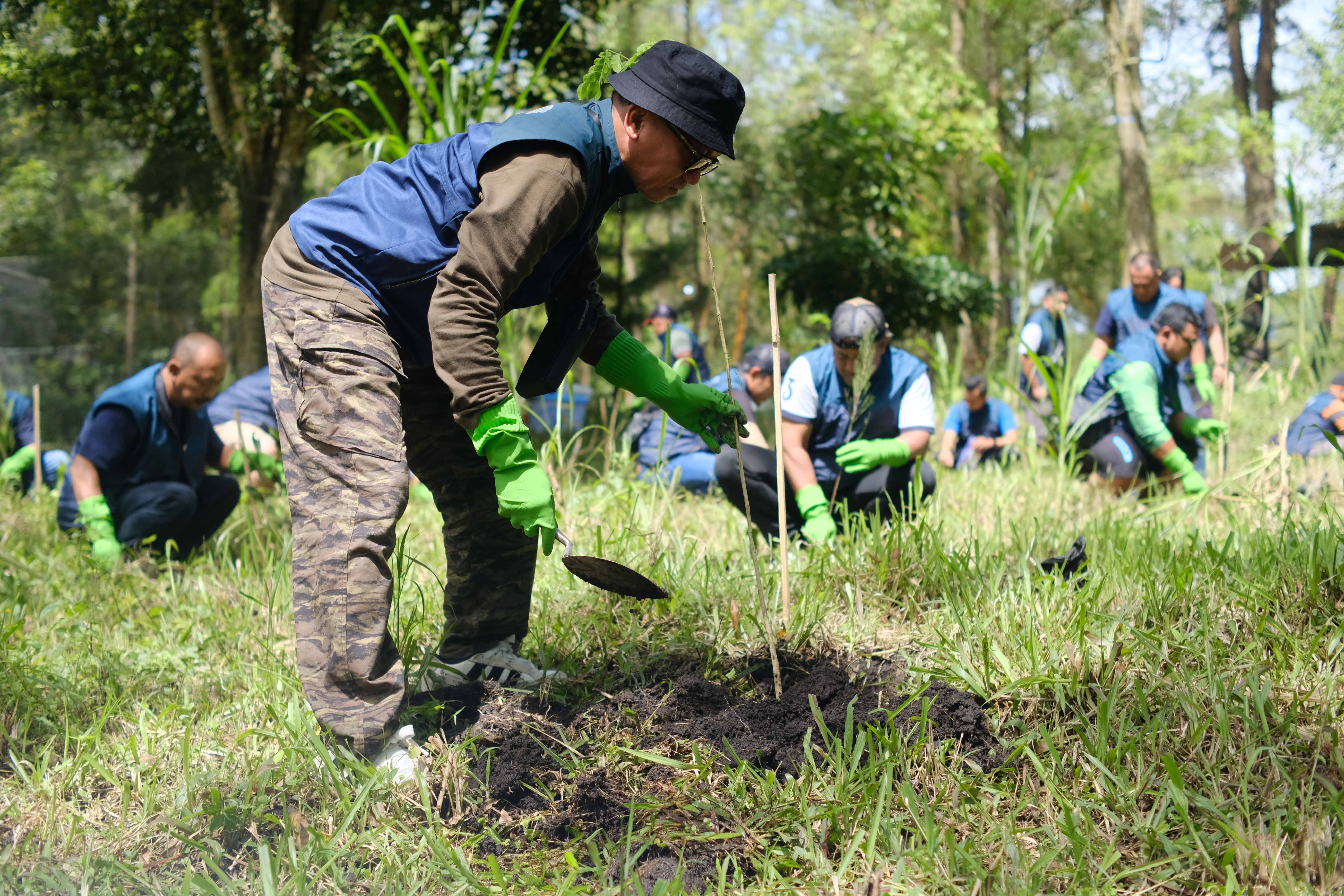 PT TPS Tanam 120 Bibit Pohon Pinus  di Coban Talun sebagai Komitmen Pelestarian Lingkungan