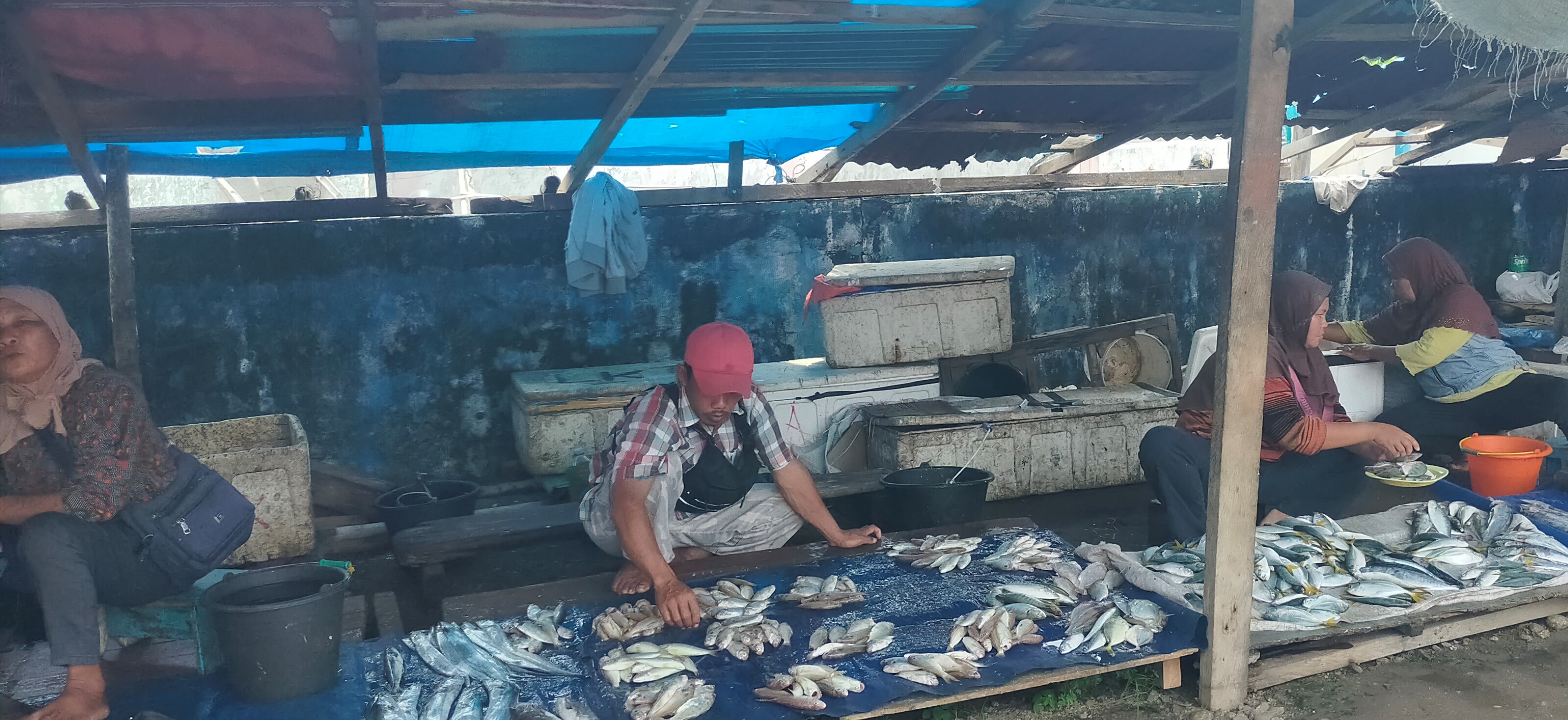 Harga Ikan Melonjak, Tangkapan Nelayan di Bengkulu Selatan Sedikit