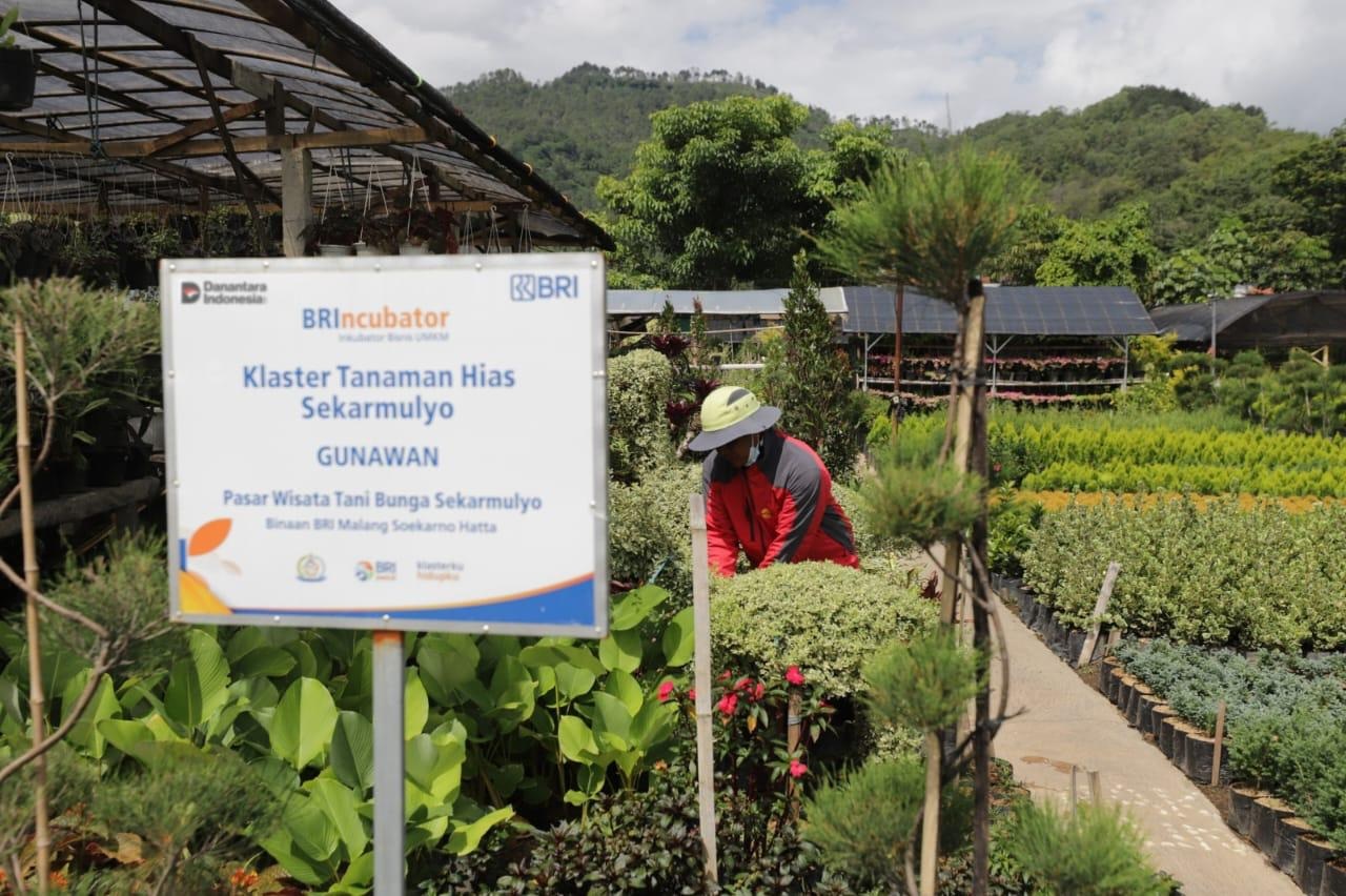 Perkuat Ekonomi Kerakyatan, BRI Berdayakan 41 ribu Klaster Usaha melalui Pembiayaan dan Literasi Keuangan