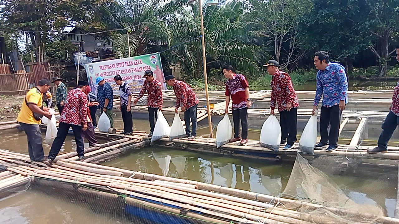  Program Ketahanan Pangan Lawang Agung Seluma, Tebar 20 Ribu Ikan