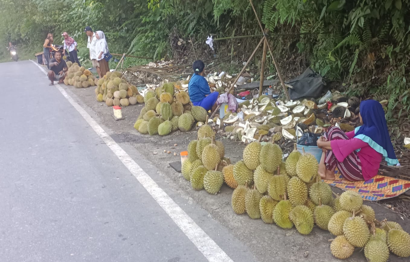 Rp 15 ribu- Rp 35 ribu Harga Durian di Seluma