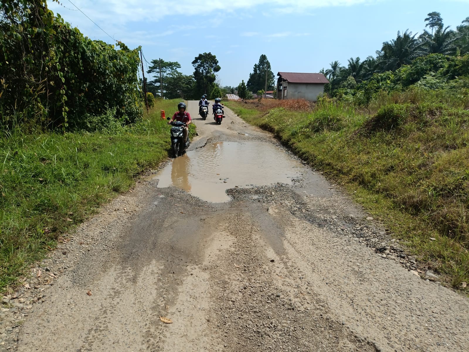  Anggaran Perbaikan Jalan di Seluma Hanya Rp 3,2 Miliar, dari DBH Sawit
