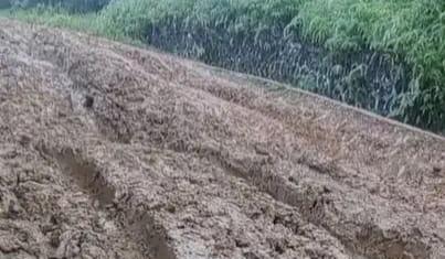 Jalan Rusak Parah di Ulu Alas, Kader Gerindra Seluma Usulkan ke Presiden