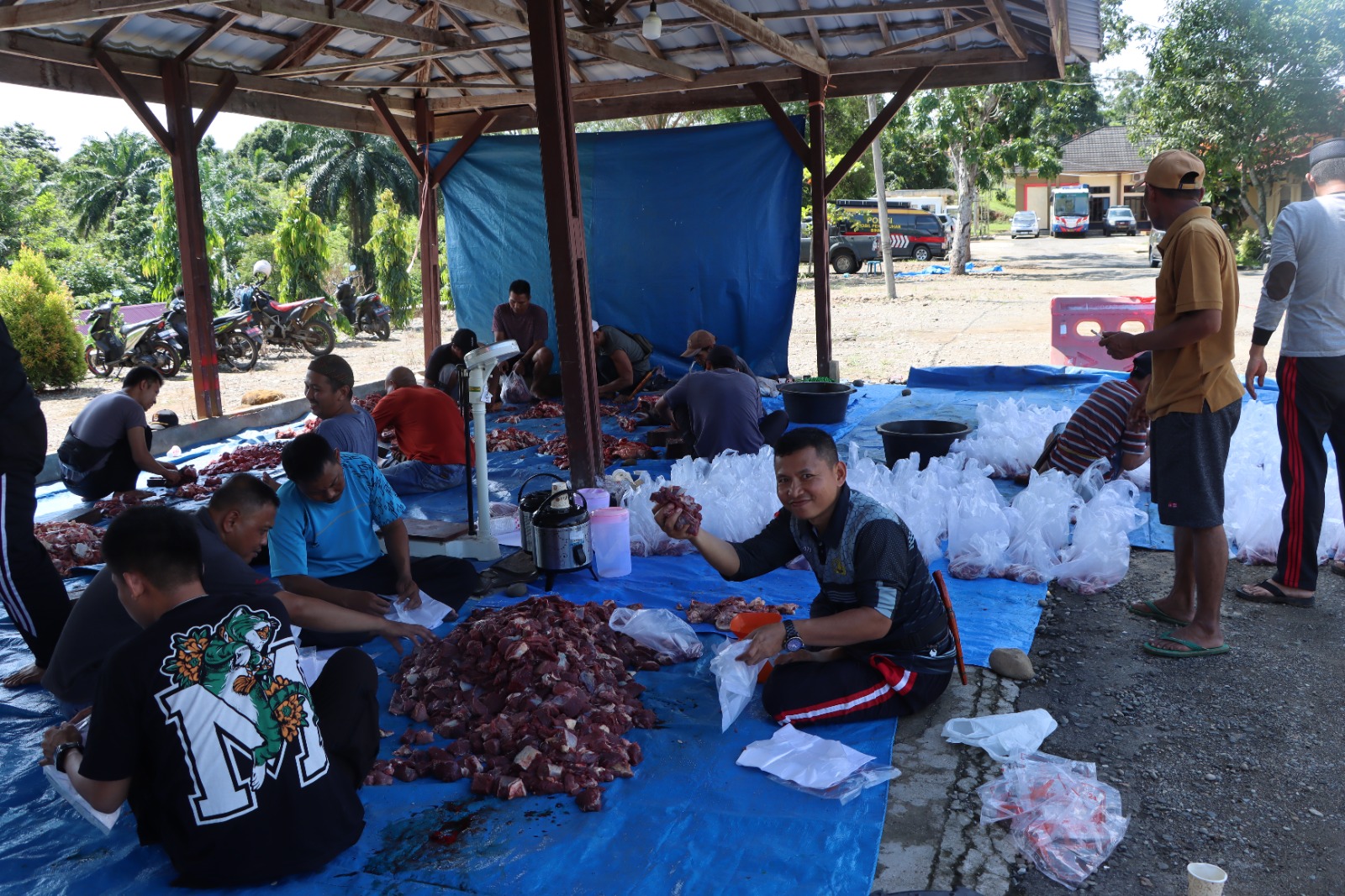  Polres Kurban 3 Ekor Sapi, Siapkan 420 Kupon Daging