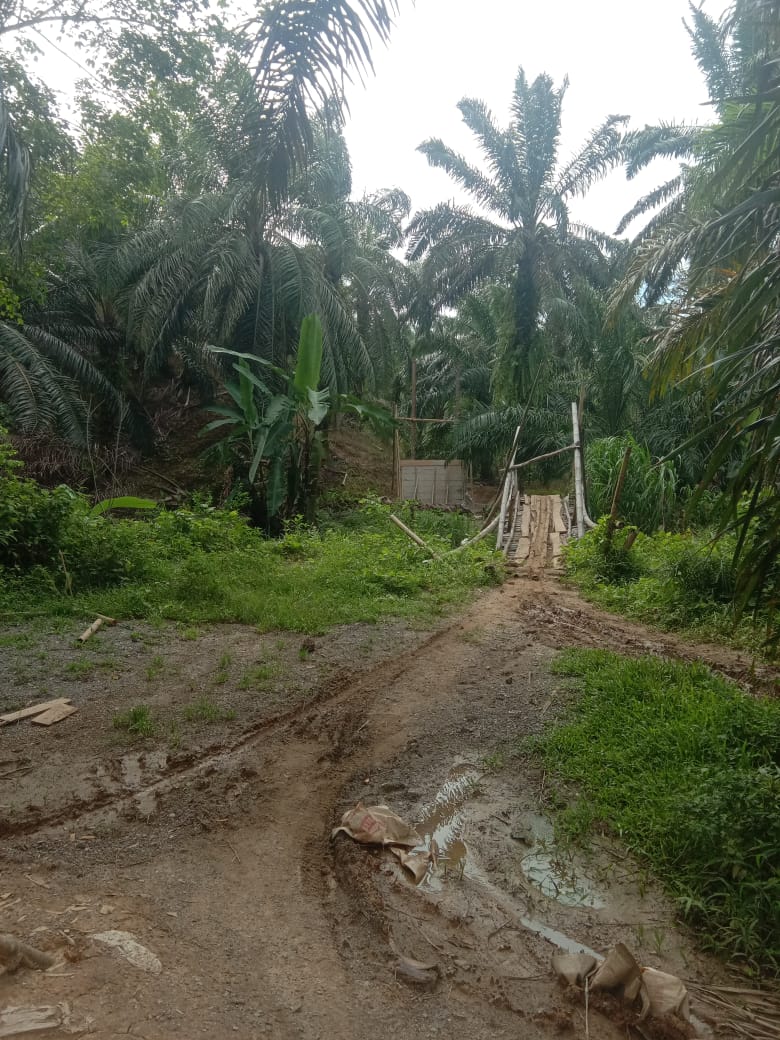  Pembangunan Jembatan Gantung Terhenti L:agi