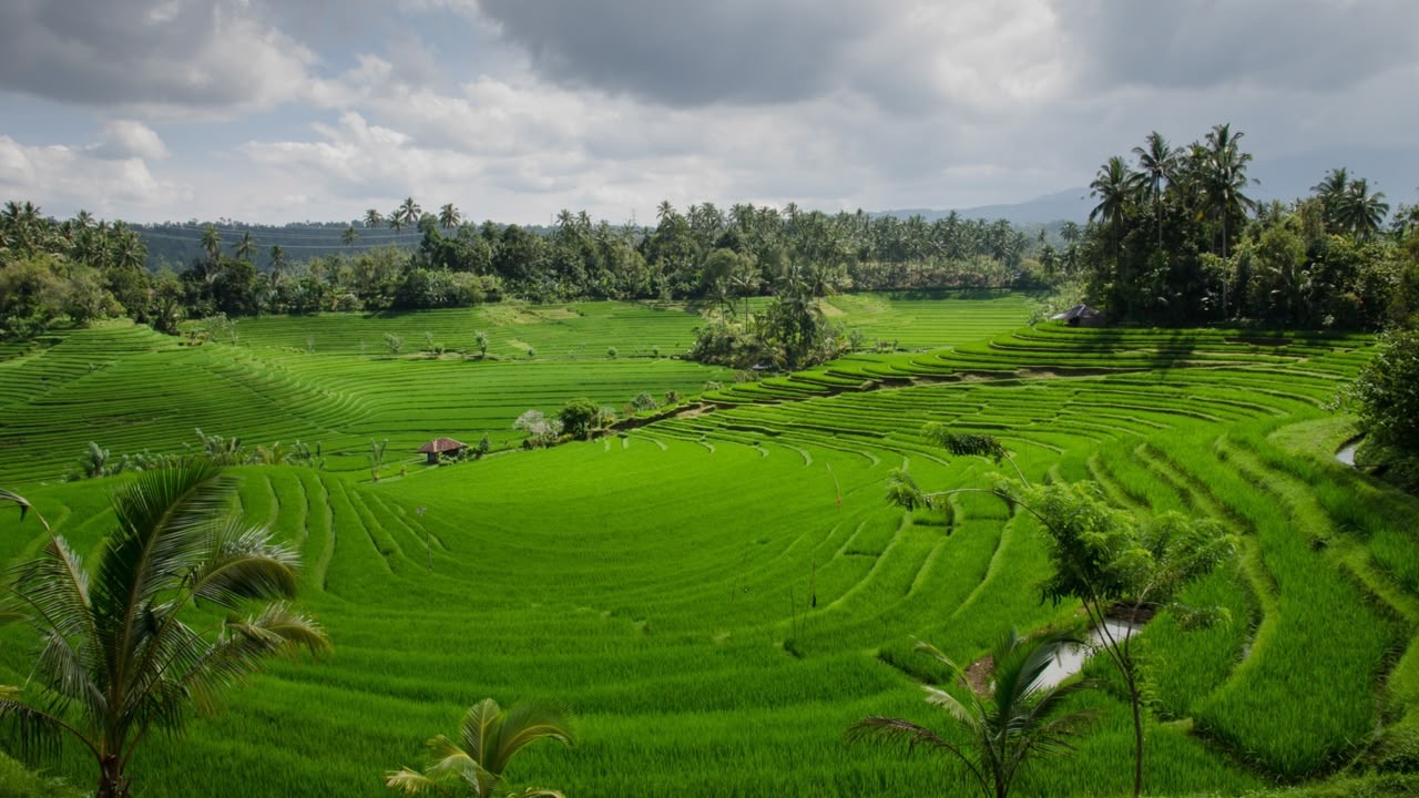 LP2B Capai 87,63% di Momen Peringatan 66 Tahun UUPA
