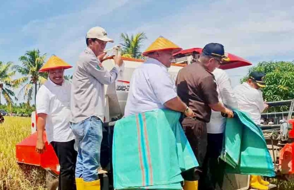 Panen Padi Gapoktan Anugrah Tani Sejahtera BS Berhasil,  Capaian Melebihi Target