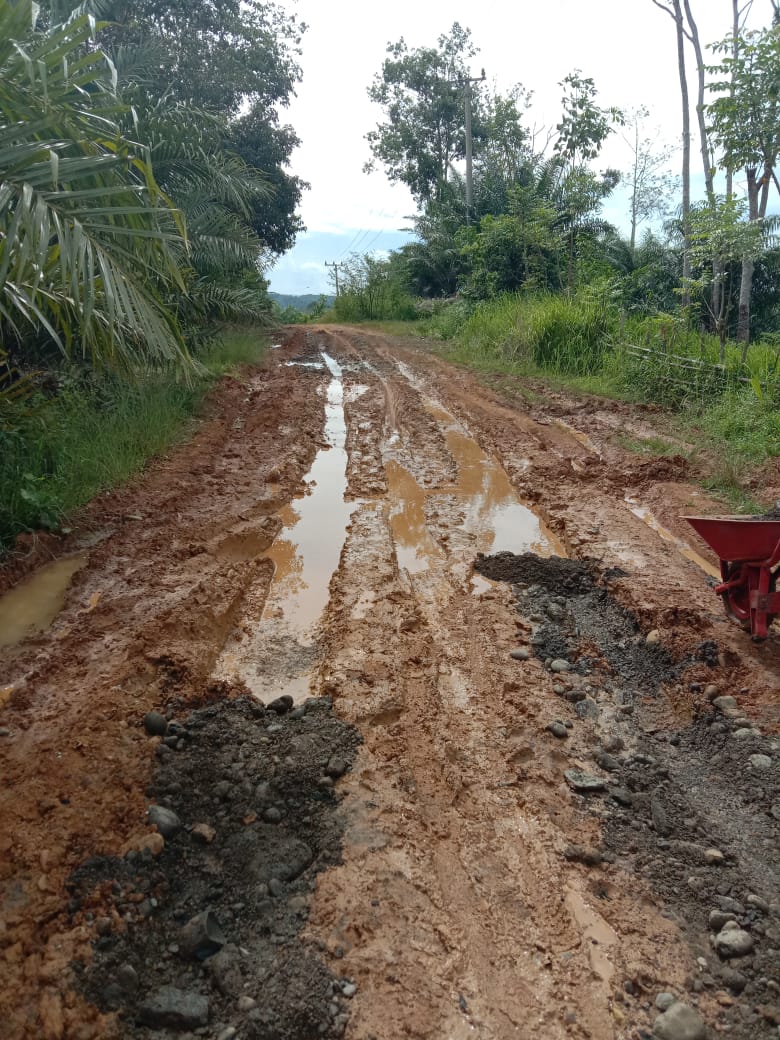 Warga Tanjung Kuaw Seluma Sulit Keluarkan Sawit