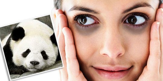 Minyak Zaitun Juga Mempunyai Khasiat Luar Biasa untuk Mengatasi Mata Panda,