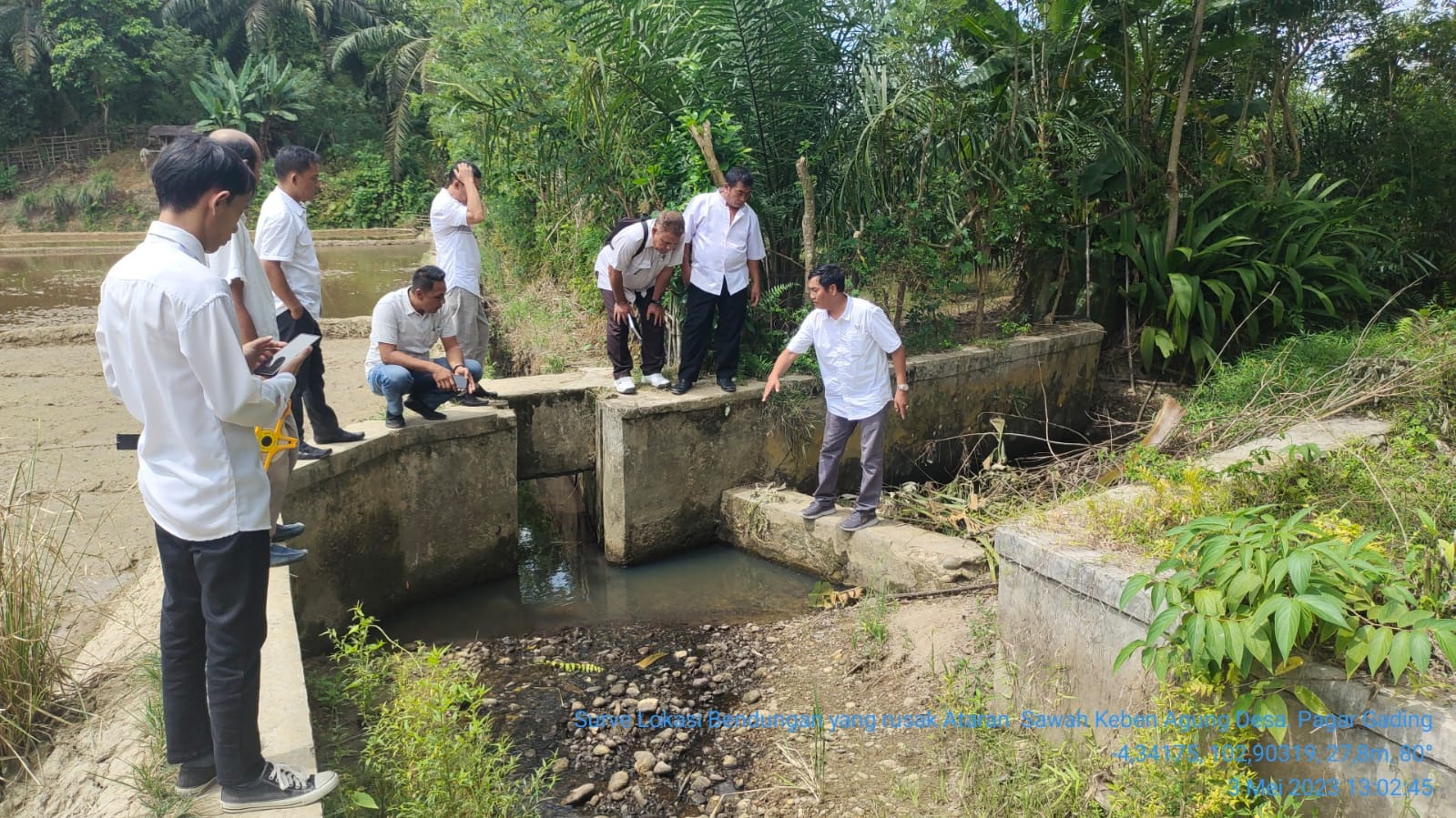  Puluhan Hektar Sawah Kekeringan, TRC Terjun Ataran Keban Agun