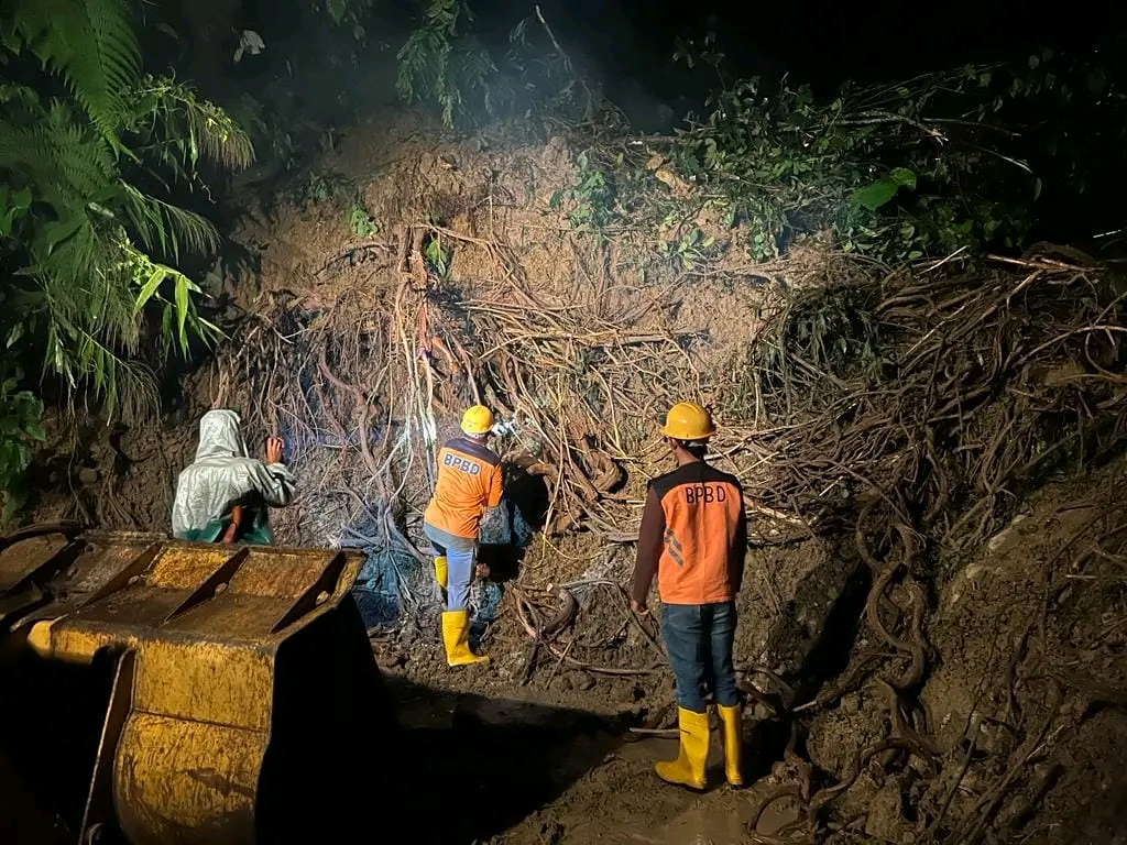 Cuaca Panas Berpotensi Sebabkan Kebakaran Hutan