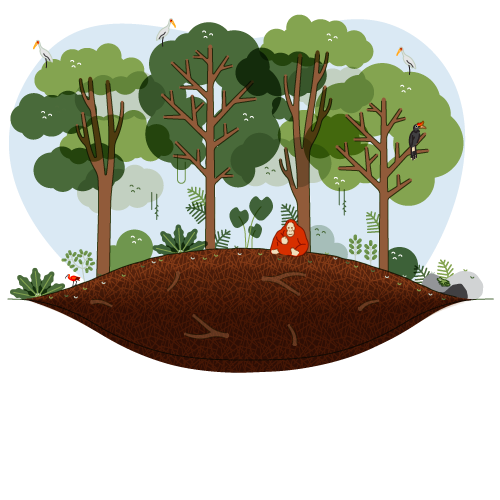 Status Lahan HPT, Apakah Bisa Digarap Petani? Ini Penjelasan Lengkapnya