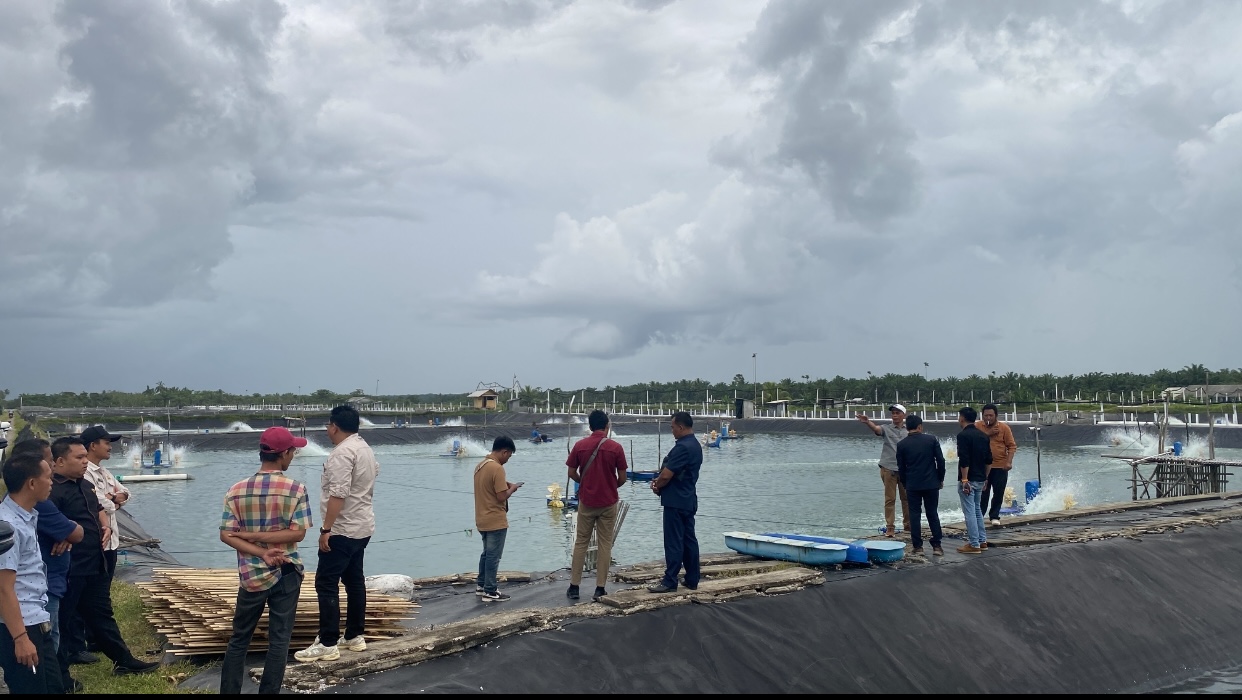 Masalah Perusahaan Tambak Udang di Seluma, Zetman: Kuasai Lahan Tanpa HGU, Itu Jelas Mereka Akui