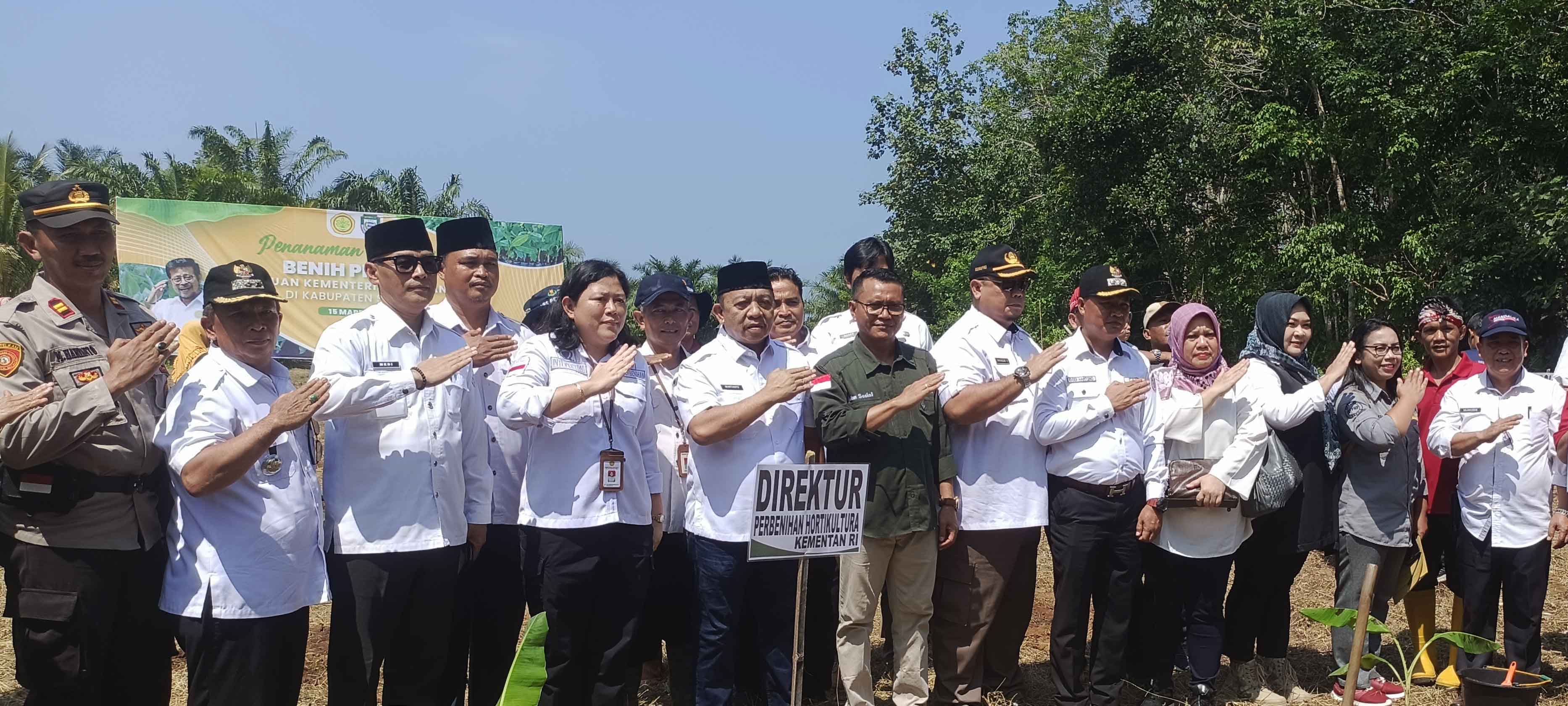 Direktur Pertanian Kemtan Kunjungi Ilir Talo, Tanam Pisang Cavendish