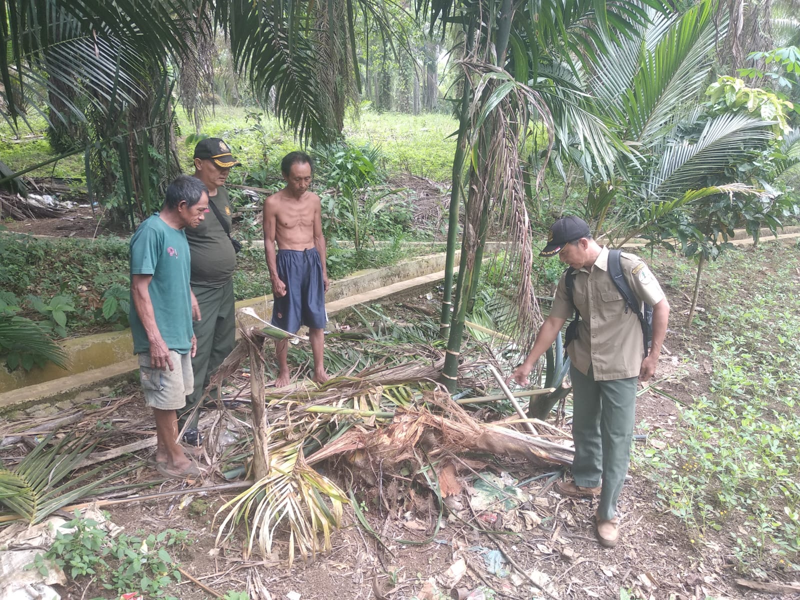   Di Seluma, Beruang Madu Masuk Pemukiman. Mangsa Kambing dan Ayam