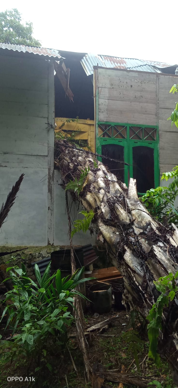  Diterjang Badai, Pohon Sawit Timpa Rumah Warga..Ya Rusak