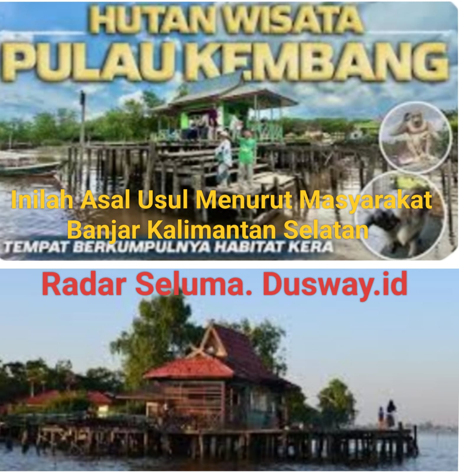 Asal Usul Pulau Kembang Di Sungai Barito Kalimantan Selatan Destinasi Wisata Alam Yang Sejuk