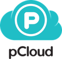 pCloud Luncurkan Penawaran Eksklusif 11.11, Paket Penyimpanan dan Enkripsi Seumur Hidup 