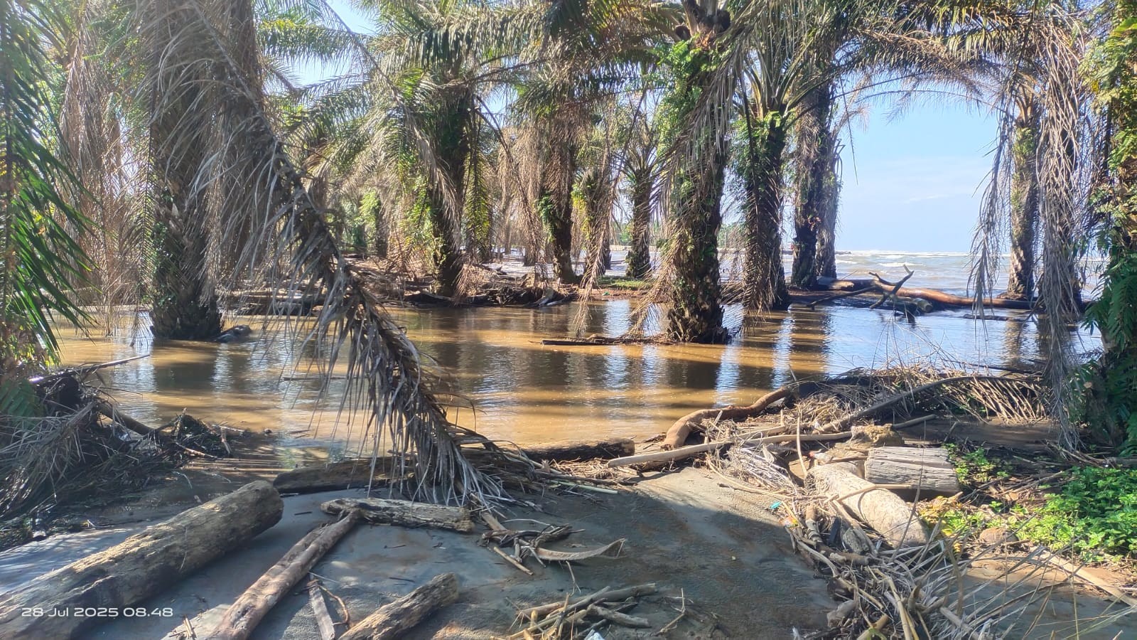 78 Hektare Lahan Pertanian di Seluma  Abrasi, Pemprov Bengkulu Siapkan Rp 3 Miliar