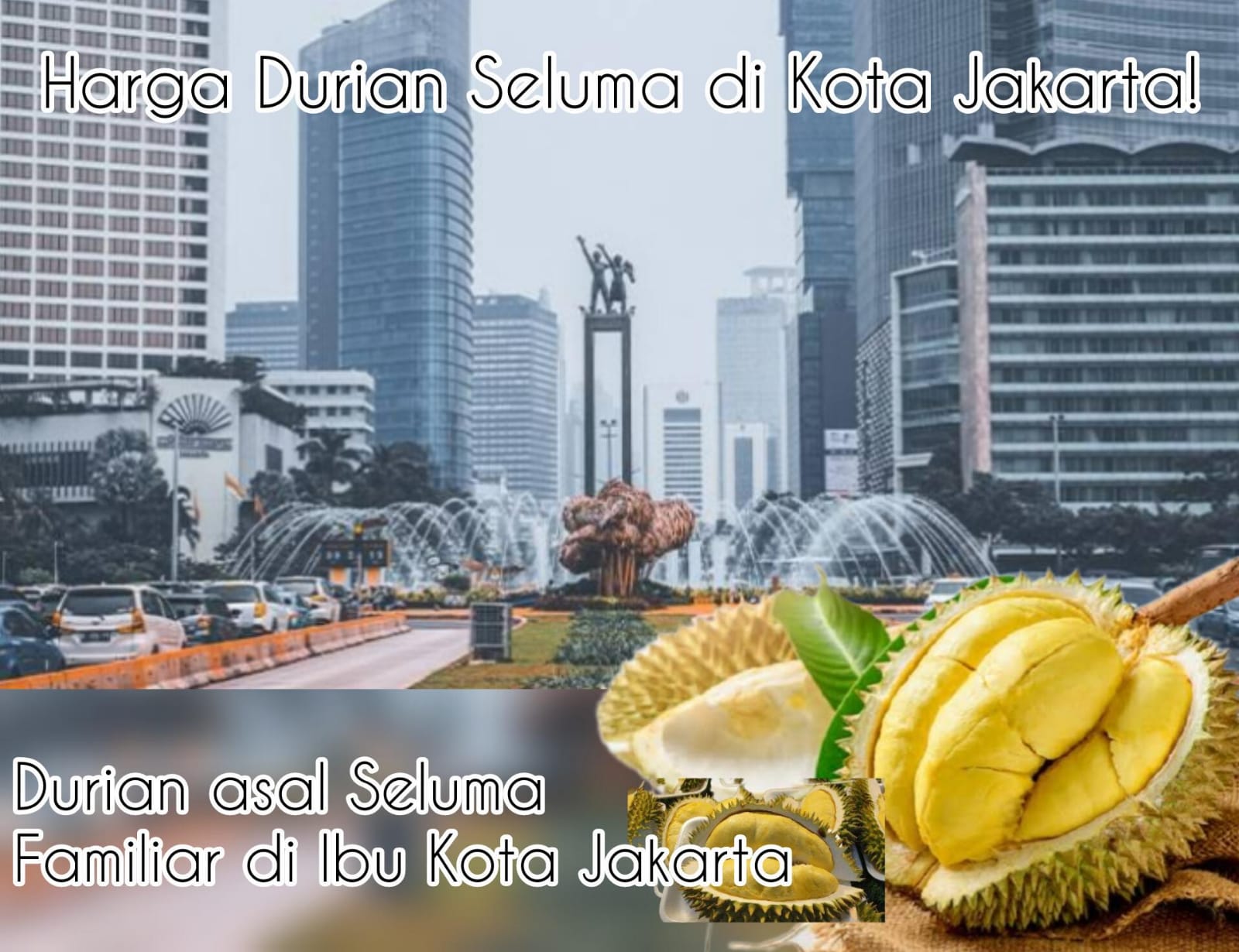 Durian Nikmat dan Mantap, Harga di Jakarta Luar Biasa! Berikut Perbandingannya dengan Provinsi Bengkulu!
