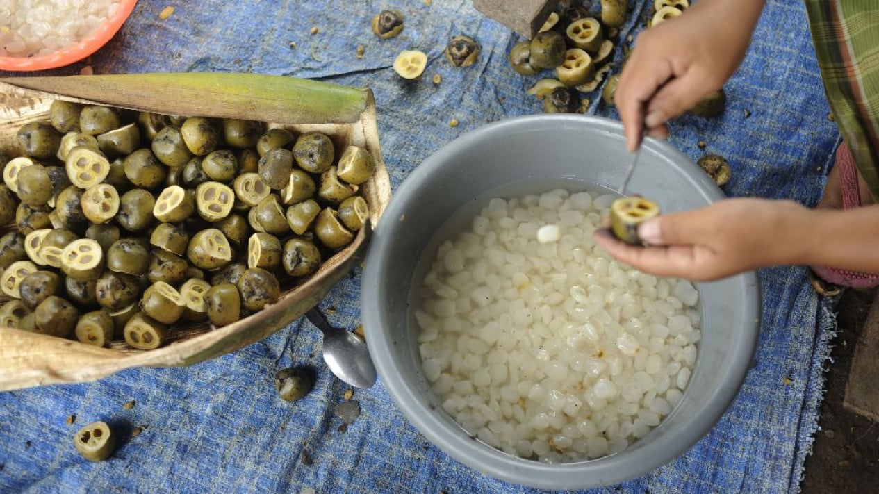 Butuh Waktu Lama, Begini Proses Pengolahan Kolang-Kaling agar Aman Dikonsumsi !