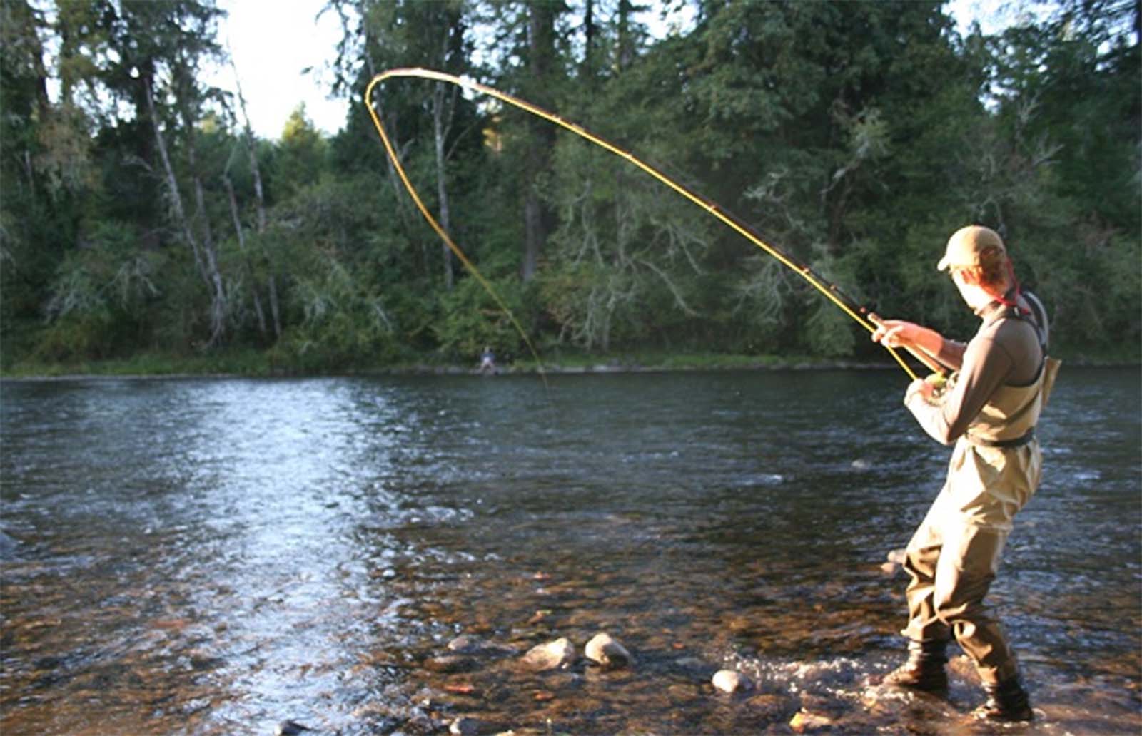 9 Umpan Pancingan yang Paling Jitu Ketika Memancing di Sugai Besar