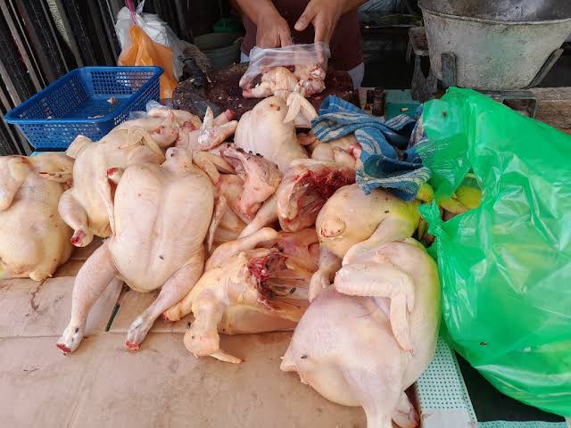 Berikut Harga Ayam Potong Di Seluma Jelang Nataru