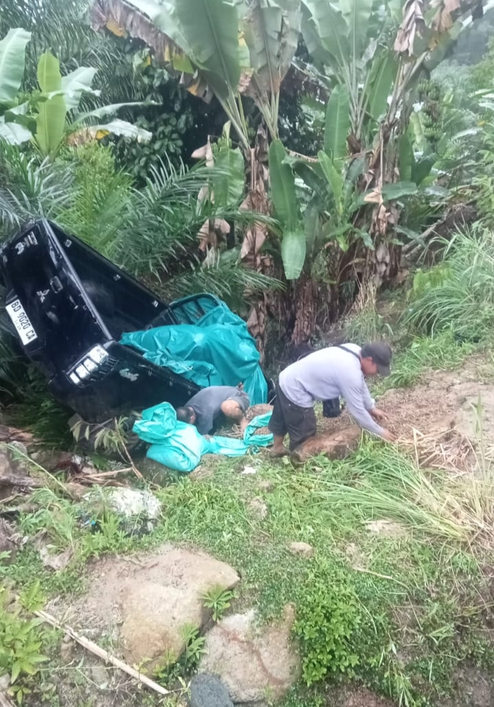 Kecelakaan Tunggal di Bukit Batu Seluma, Triton Muatan Kopi Terjun ke Jurang: Sopir Alami Luka, Penumpang Sela