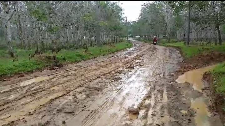 Jalan Desa Taba Lubuk Puding Tetap Masuk HGU, Pemkab Seluma dan PTPN VII Sepakat Akses Jalan Tak Jadi Di Hibah