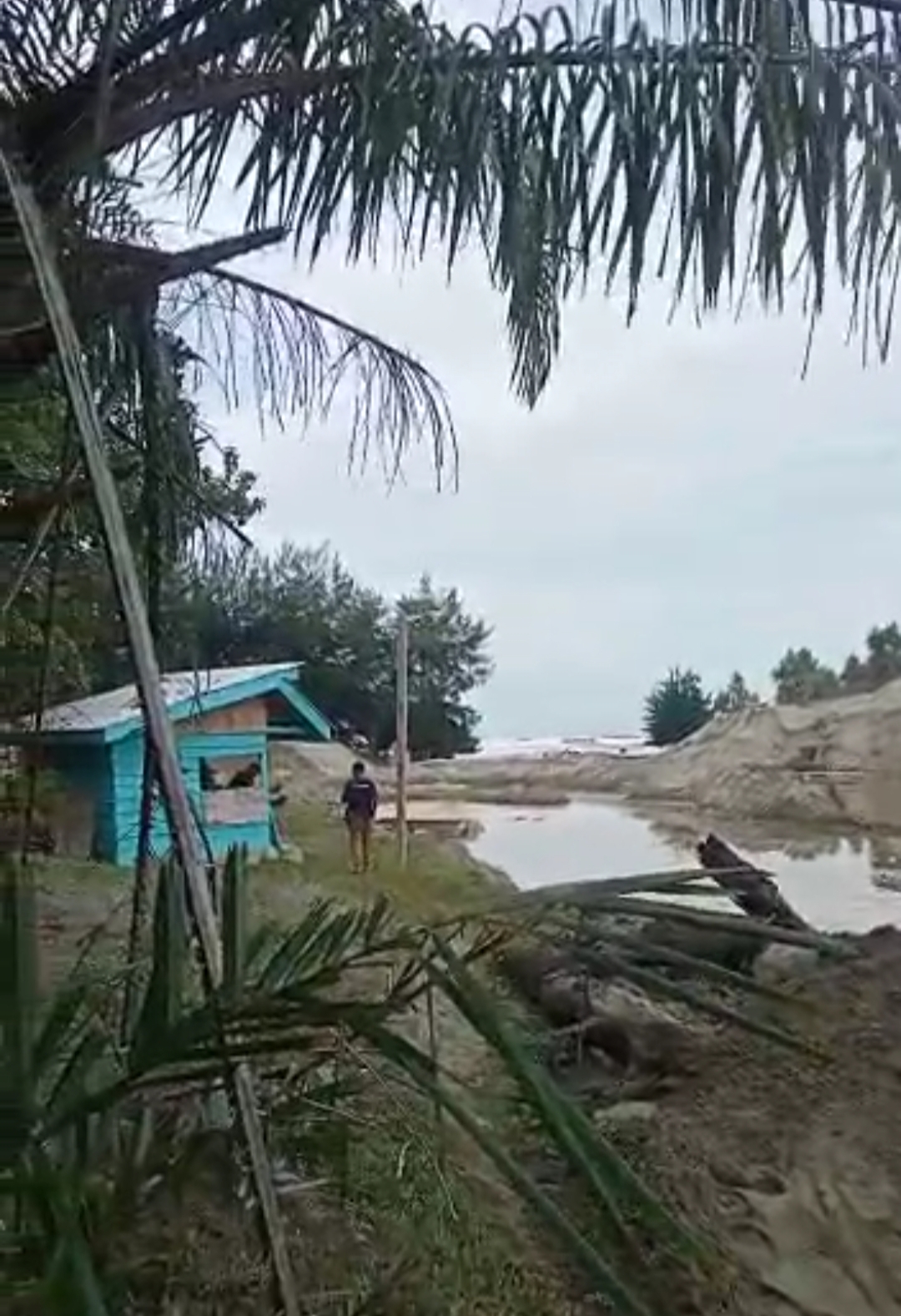 Pemerintah Dalami Masalah Tambang Pasir Seluma