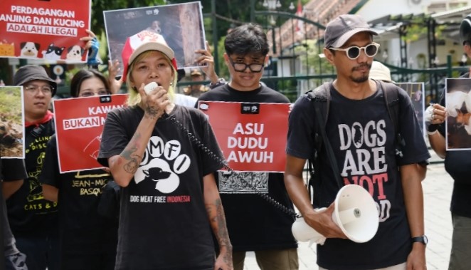 Koalisi DMFI Lakukan Aksi, Desak Pemrpov  DIY Terbitkan Perda Pelarangan Perdagangan Daging Anjing dan Kucing