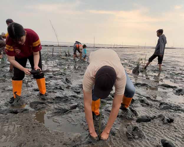 KAI Logistik Tanam 2.000 Mangrove, Hijaukan Pesisir Timur Jawa     