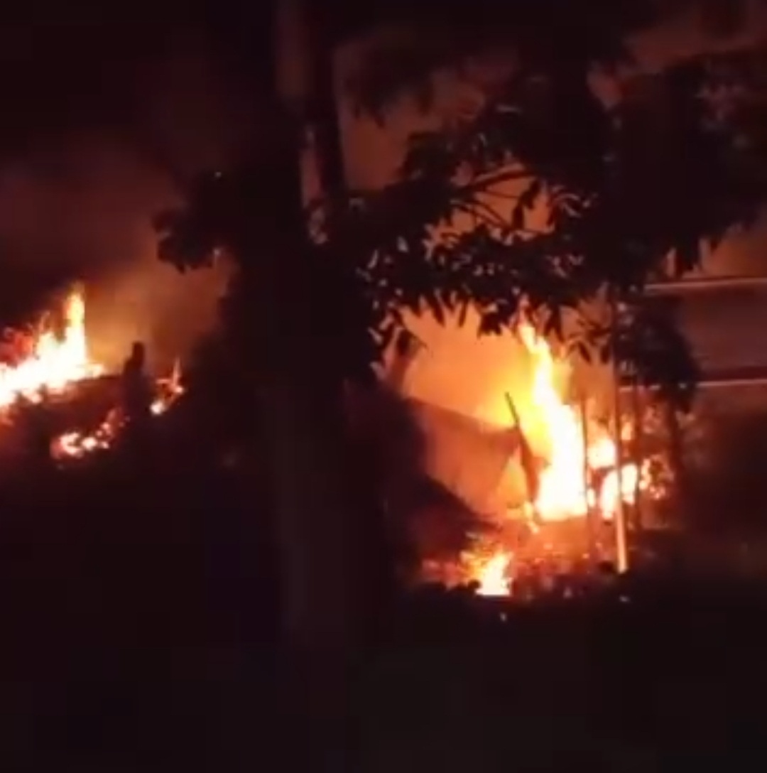   Lahan di Kawasan Perkantoran Pemkab Seluma Terbakar, Damkar Lakukan Pendinginan