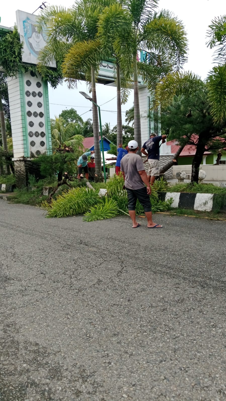   Pohon Tutupi Tulisan Gapura Selamat Datang Ditebas DLHK