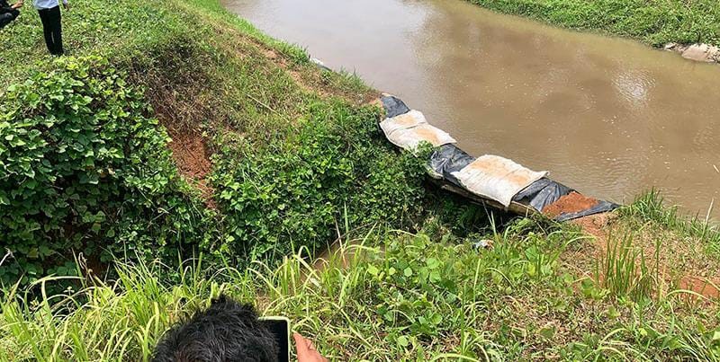 Saluran Irigasi Bendungan Seluma Akan Dikeringkan Total, Distan Seluma Dorong Petani Beralih Tanam Jagung