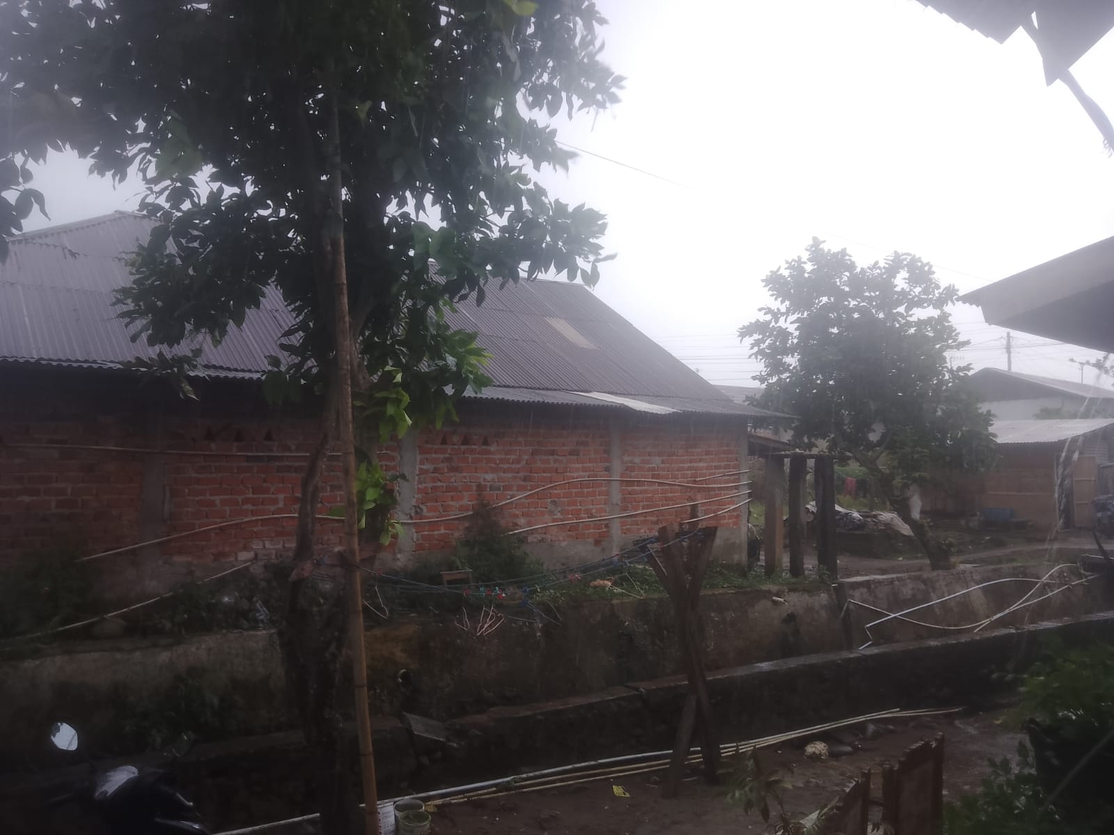 Warga Provinsi Bengkulu Diminta Waspada, Hujan Badai Melanda Sejak Selasa Sore