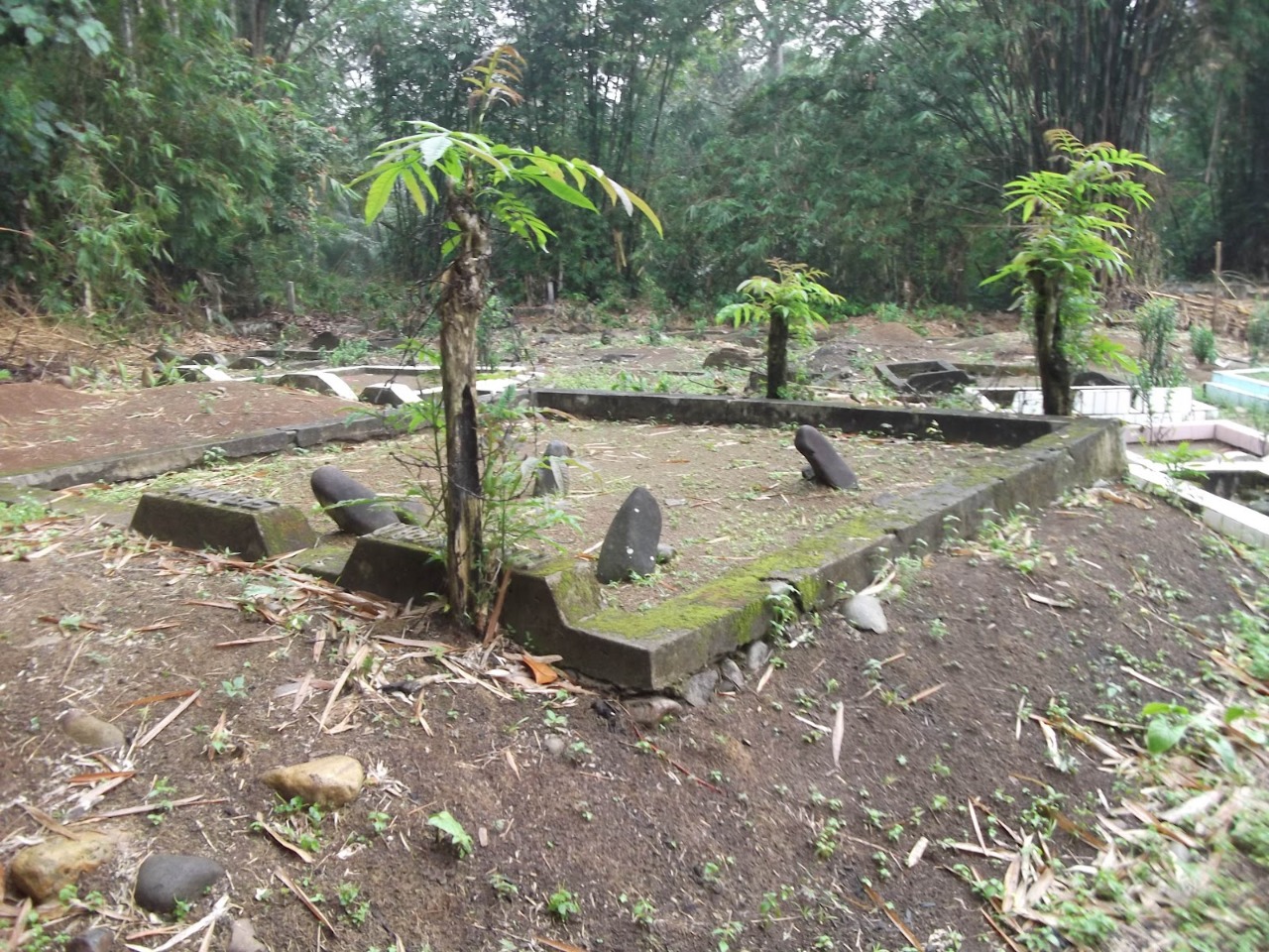 Awal Mula Berdirinya Masmambang Seluma (1).. Perintis Pertama dari Kerajaan Majapahit 