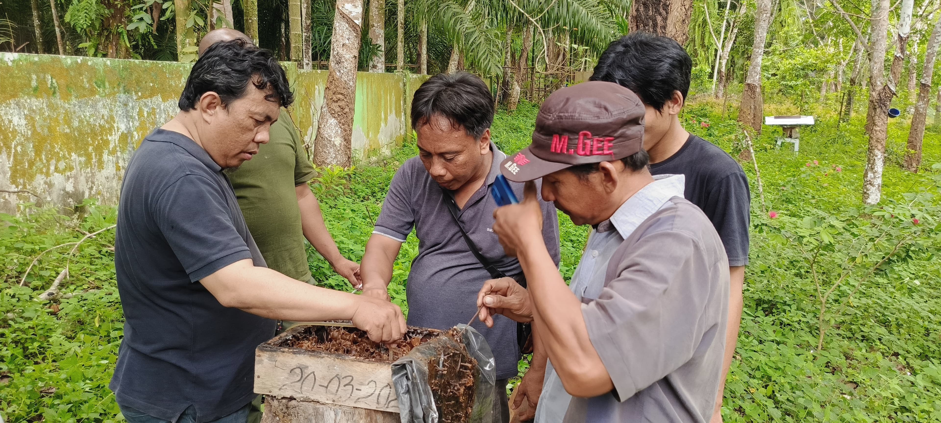 Simak Kisah Desa Penghasil Madu Di Seluma