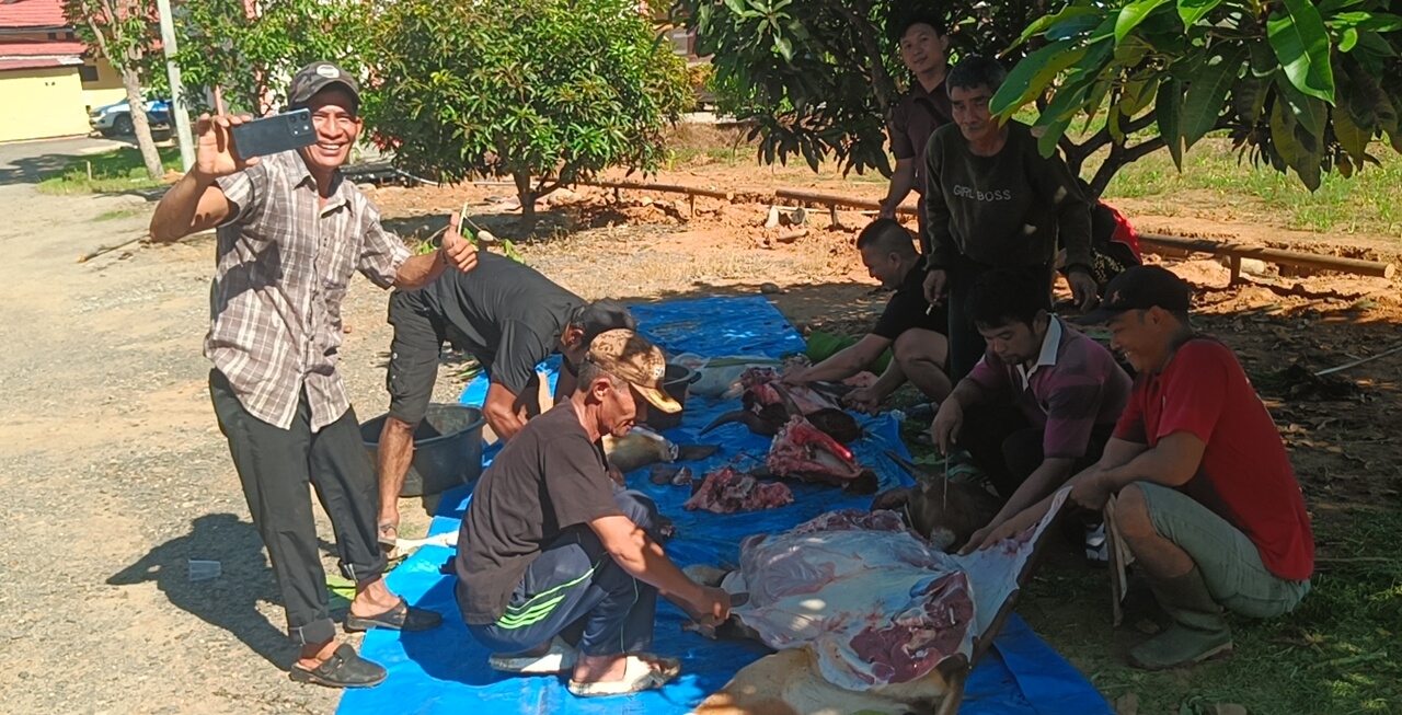 Kurban 8 Hewan, Polres Seluma Salurkan Ratusan Paket Daging