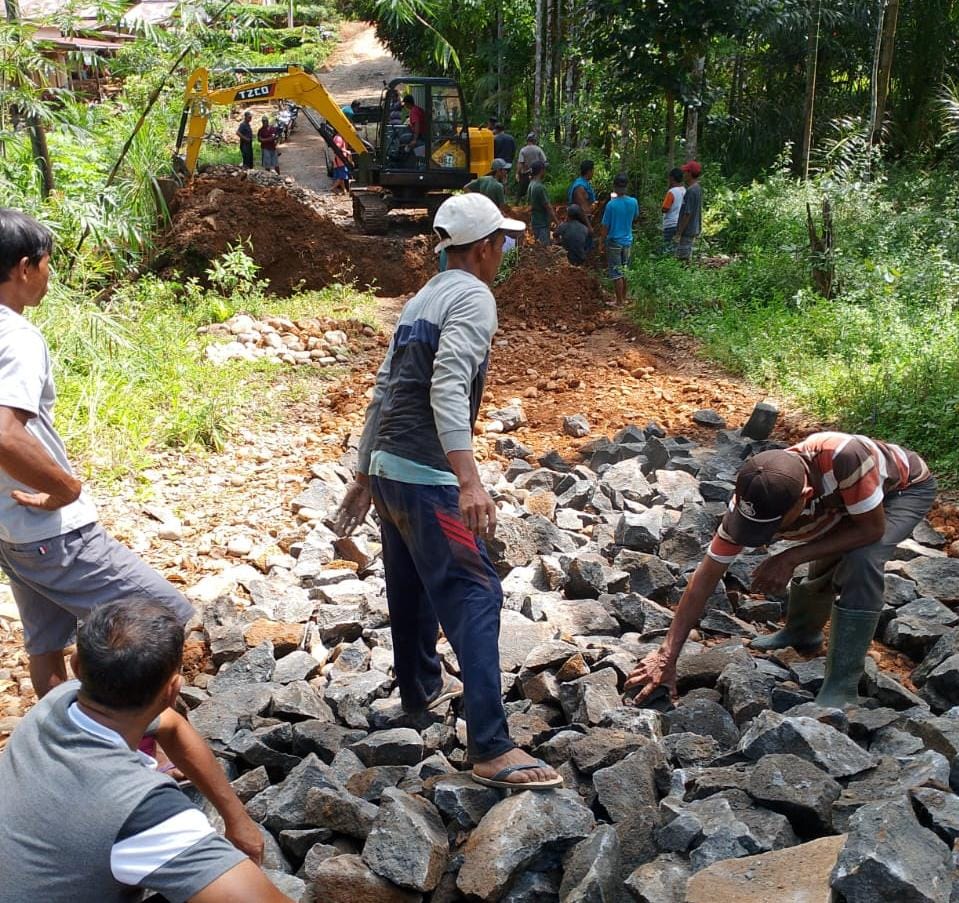 Membantu Pemerintah, Warga Hargo Binangun Gotong Royong Bangun Jalan Kabupaten