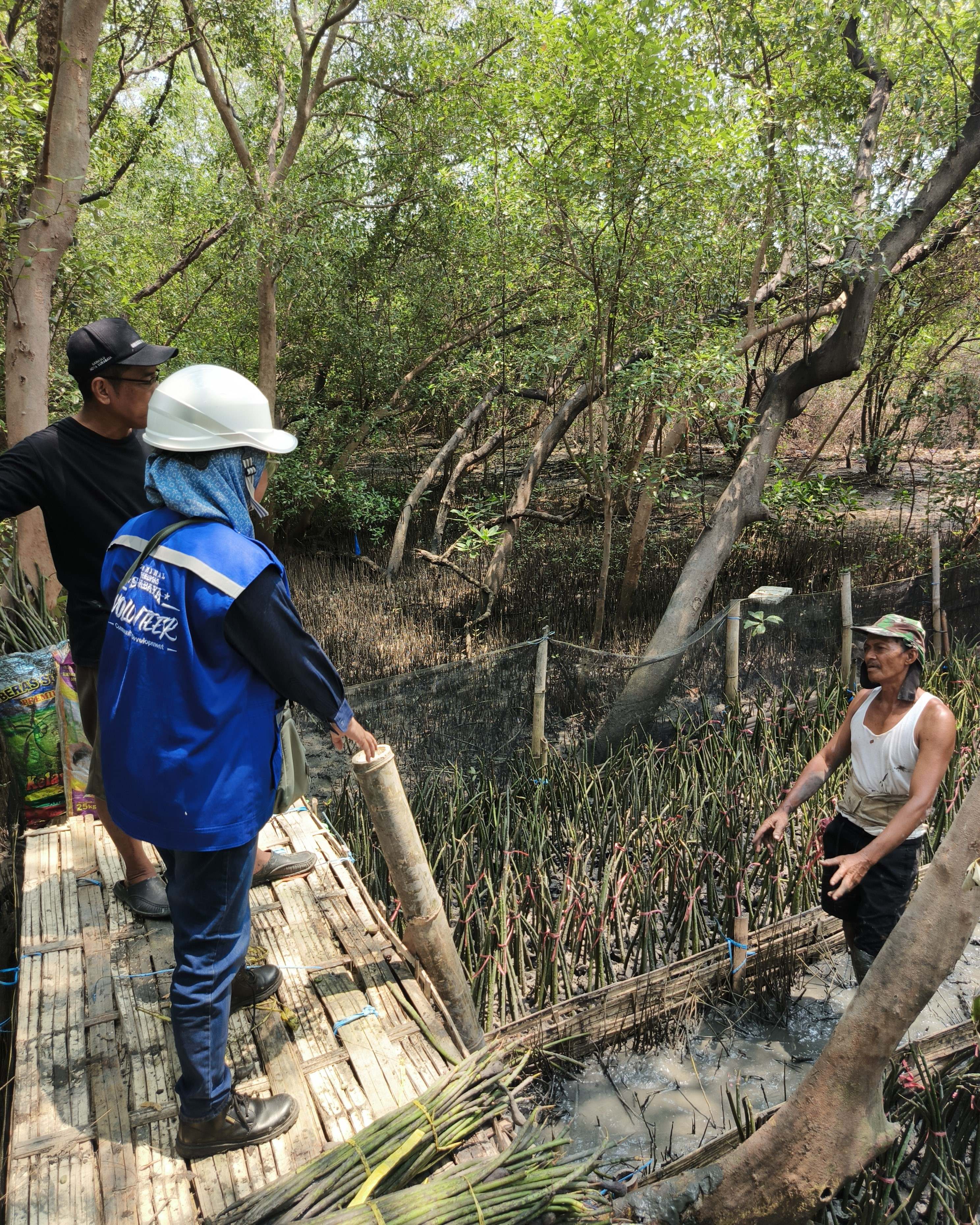 TPS Perkuat Komitmen ESG, Lakukan Pelestarian Ekosistem Mangrove Sejak 2010