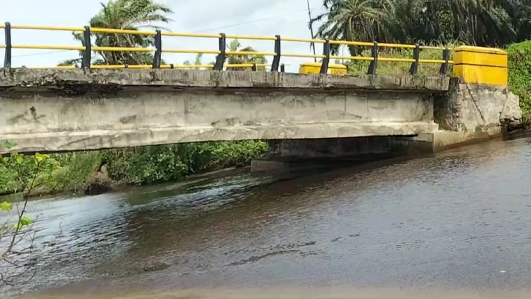   Jembatan Penghubung Ilir Talo – Seluma Selatan Terancam Putus Total, Abrasi