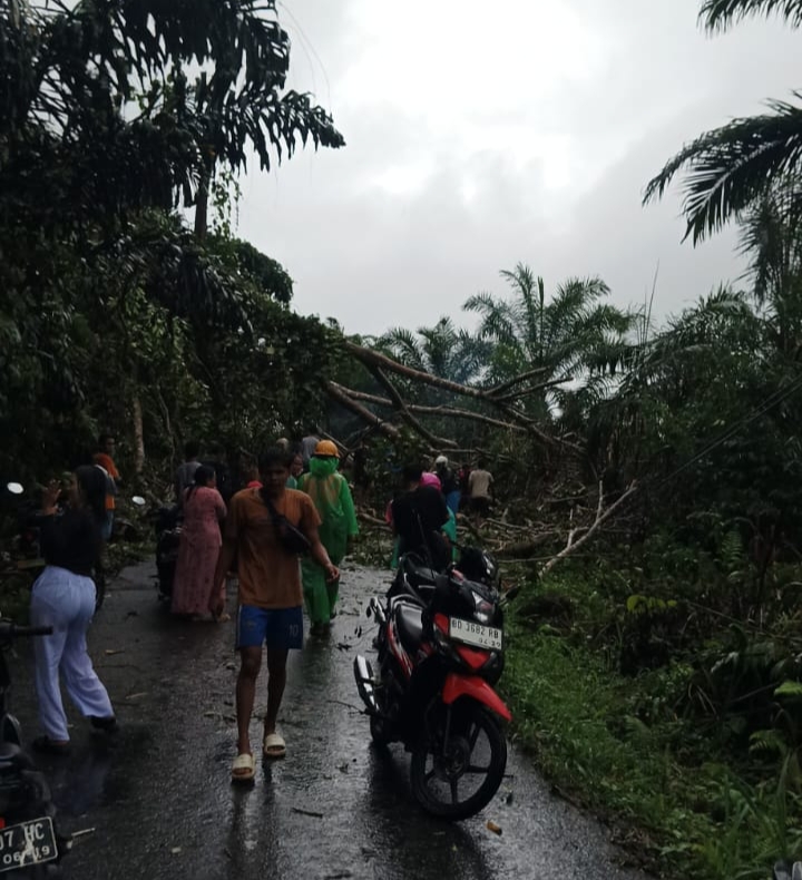  Cuaca Ekstrem di Seluma, 4 Tiang  PLN  Roboh