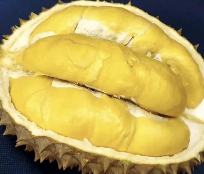 Mengenal Durian Seluma Pilihan Murah dan Beragam yang Tak Ada Duanya! 