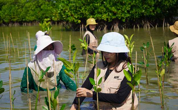  Perduli dengan Lingkungan, KAI Logistik Tanam 500 Mangrove